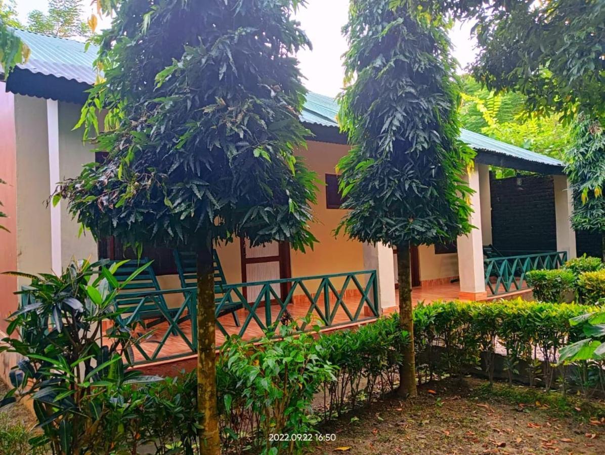 Hotel Butterfly - Peaceful Garden For Nature Lovers Sauraha Extérieur photo