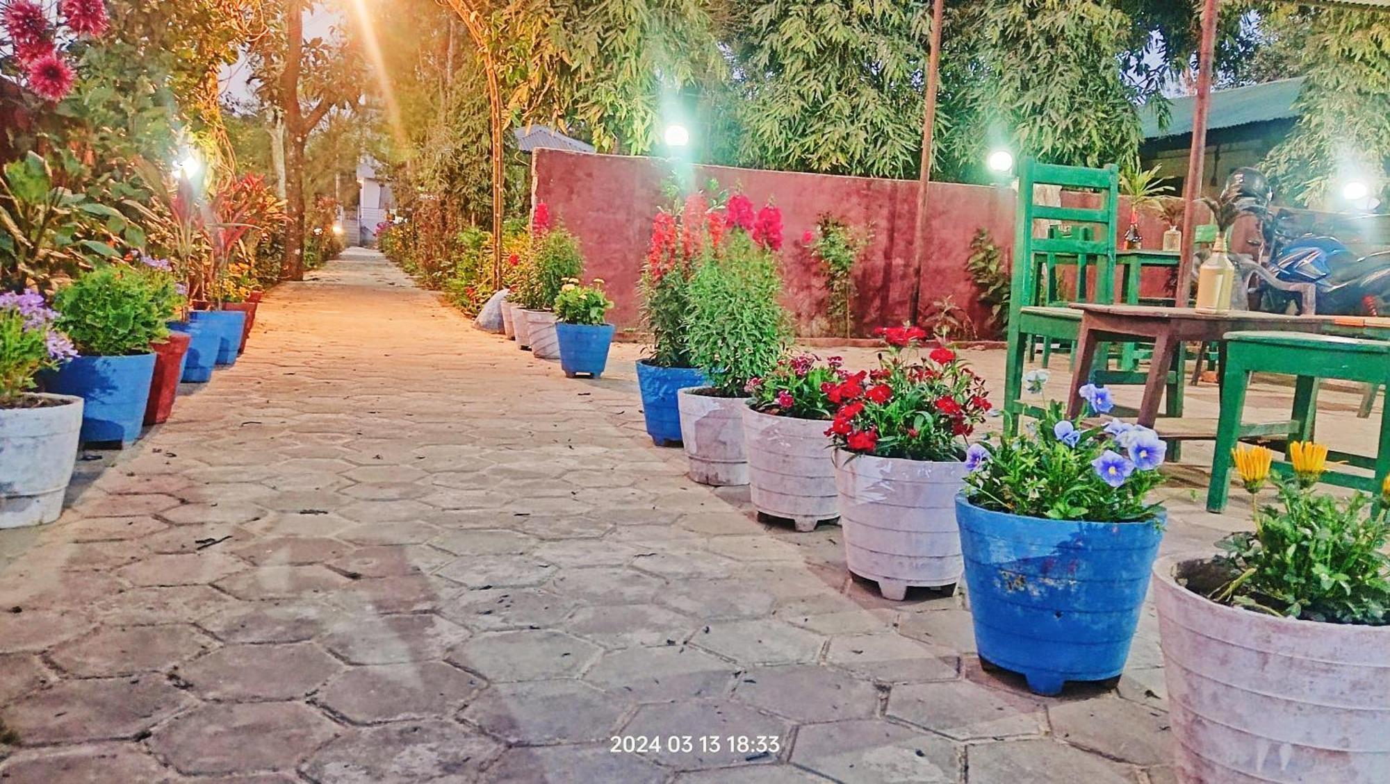 Hotel Butterfly - Peaceful Garden For Nature Lovers Sauraha Extérieur photo