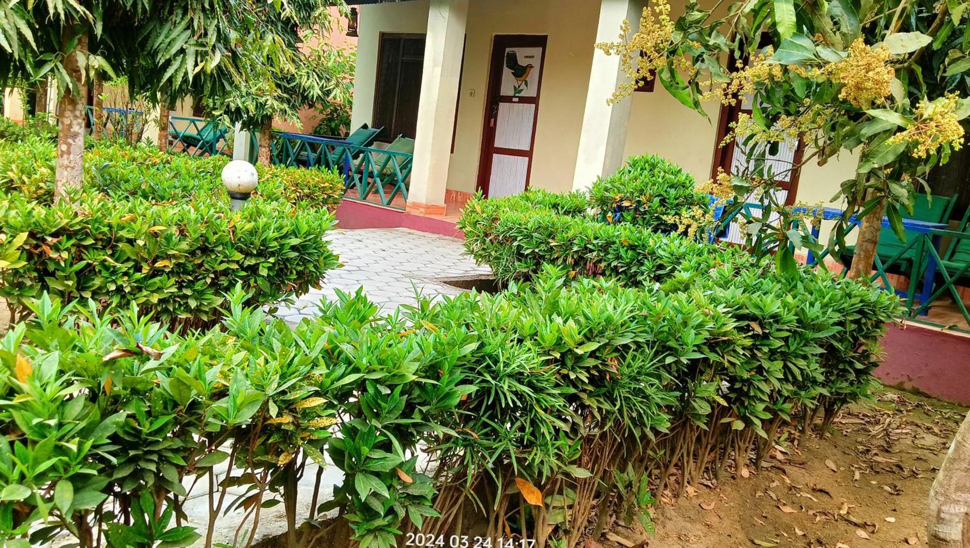 Hotel Butterfly - Peaceful Garden For Nature Lovers Sauraha Extérieur photo