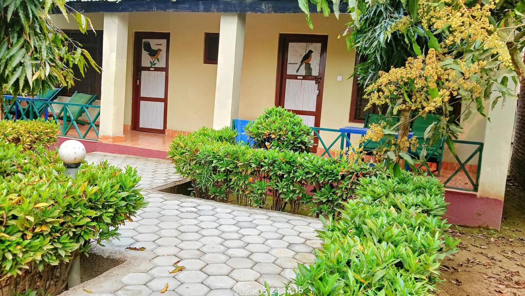 Hotel Butterfly - Peaceful Garden For Nature Lovers Sauraha Extérieur photo