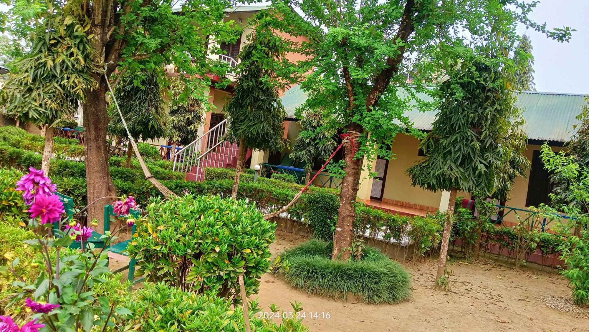 Hotel Butterfly - Peaceful Garden For Nature Lovers Sauraha Extérieur photo