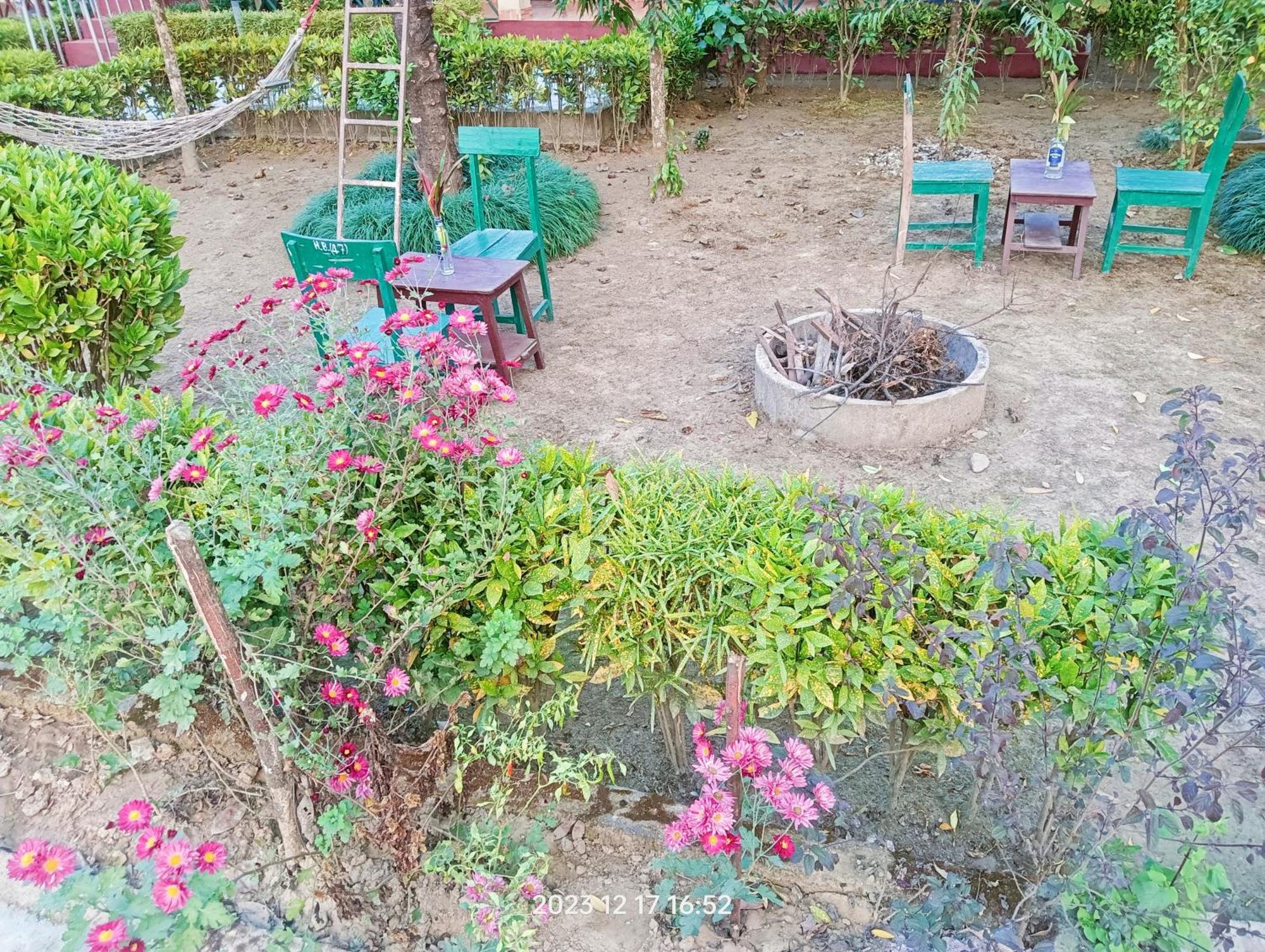 Hotel Butterfly - Peaceful Garden For Nature Lovers Sauraha Extérieur photo