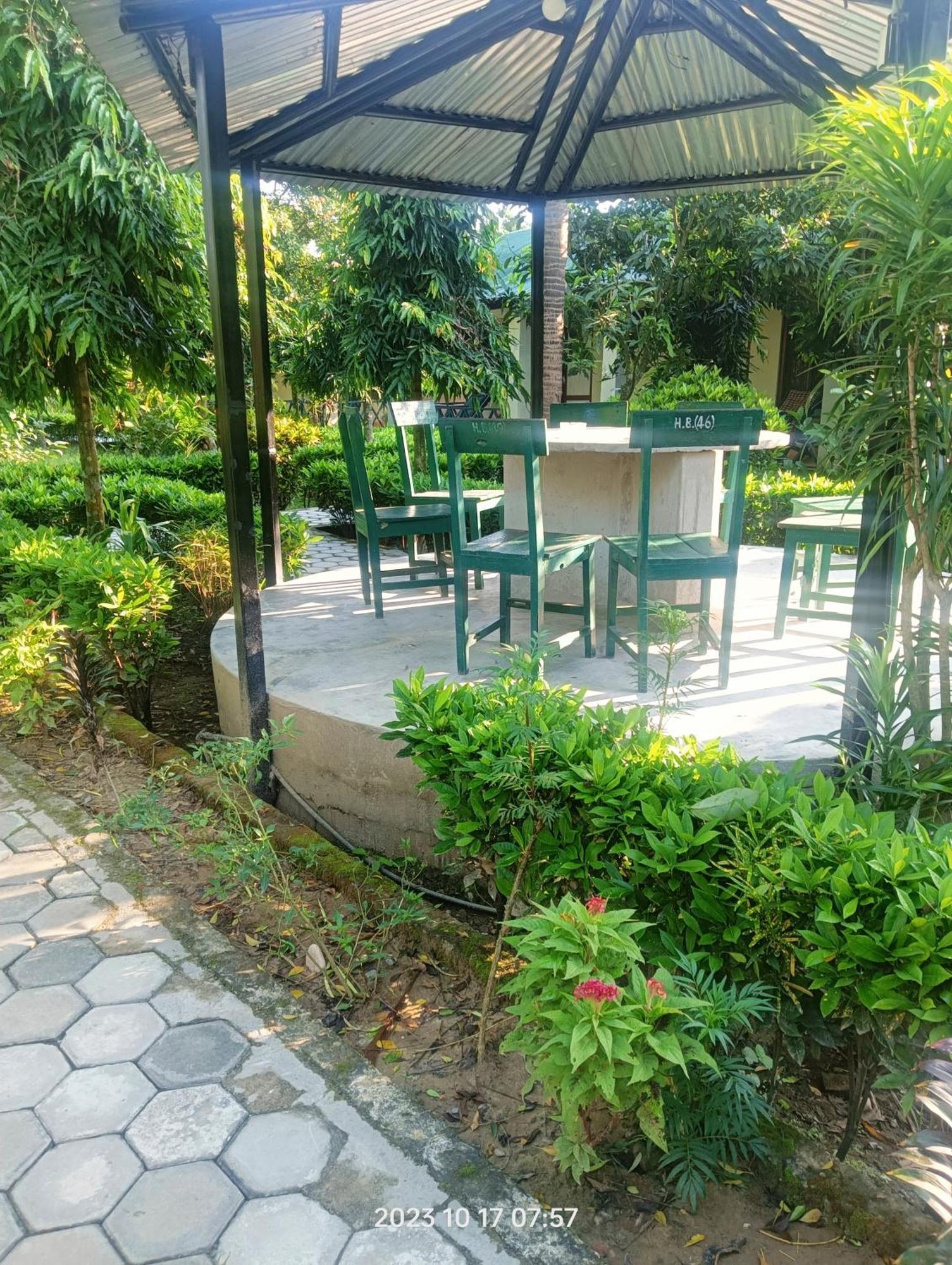Hotel Butterfly - Peaceful Garden For Nature Lovers Sauraha Extérieur photo