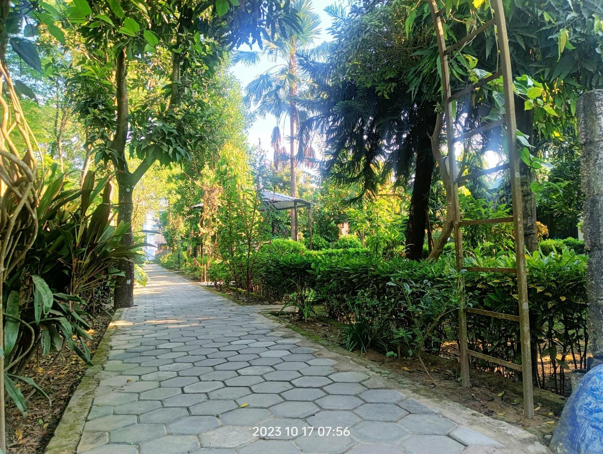 Hotel Butterfly - Peaceful Garden For Nature Lovers Sauraha Extérieur photo
