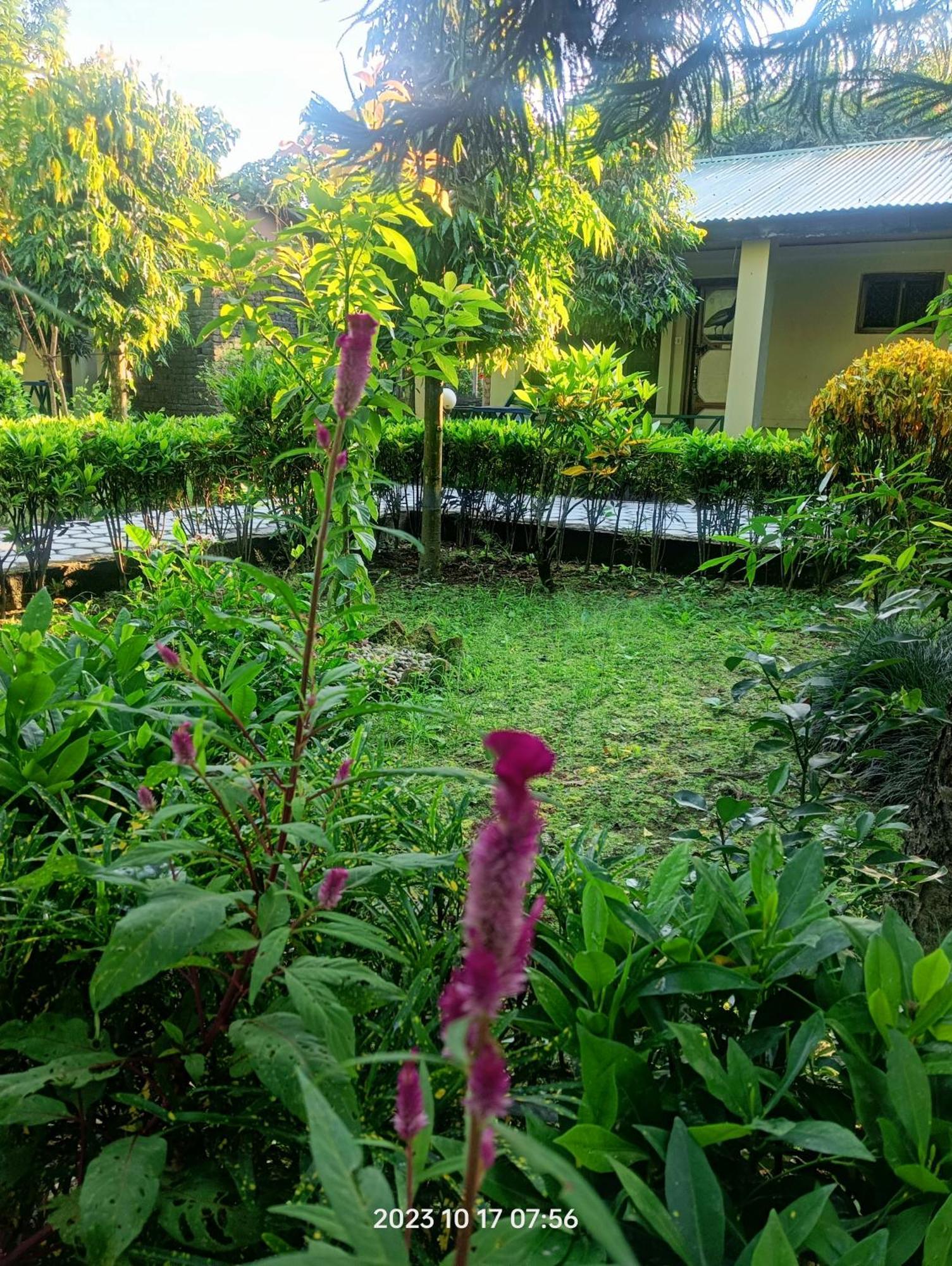 Hotel Butterfly - Peaceful Garden For Nature Lovers Sauraha Extérieur photo