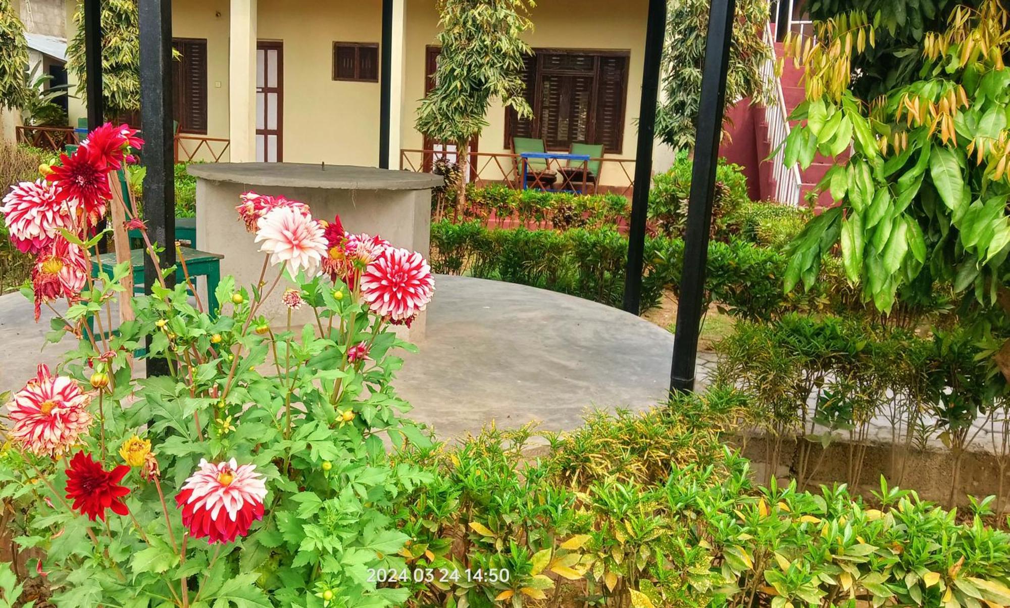 Hotel Butterfly - Peaceful Garden For Nature Lovers Sauraha Extérieur photo