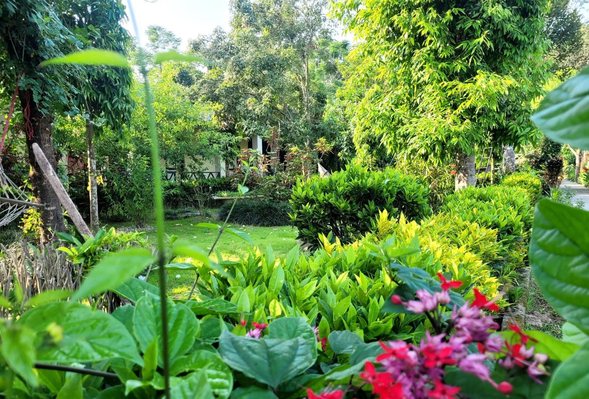 Hotel Butterfly - Peaceful Garden For Nature Lovers Sauraha Extérieur photo