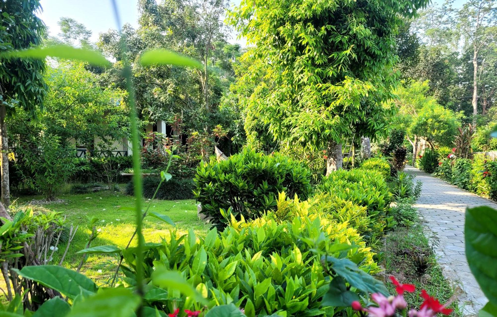Hotel Butterfly - Peaceful Garden For Nature Lovers Sauraha Extérieur photo